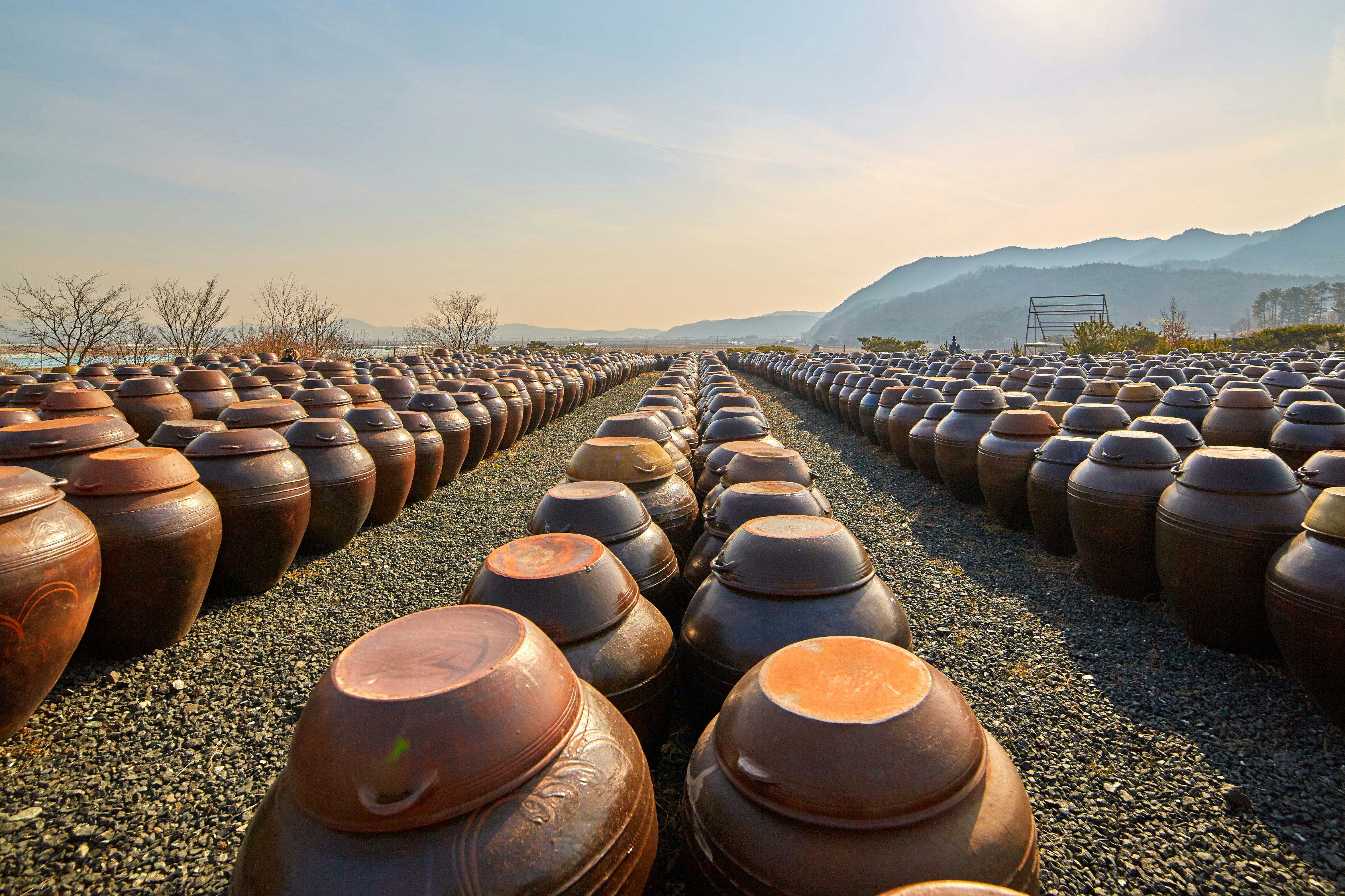 brown clay jars laid on the ground